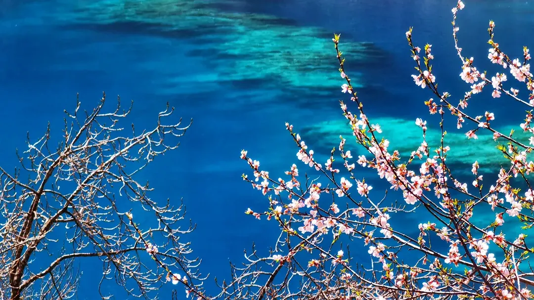 55e10e77f37298735d42501672be86b1-sz_1982282