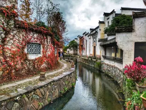 55fe8eec7c77063c0e432d5c8506cde0-sz_57987 55fe8eec7c77063c0e432d5c8506cde0-sz_57987