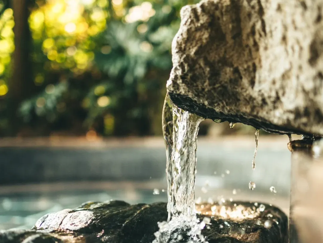 5619f5c547b7a412b4aa2371c15a67eb-sz_1598528 5619f5c547b7a412b4aa2371c15a67eb-sz_1598528