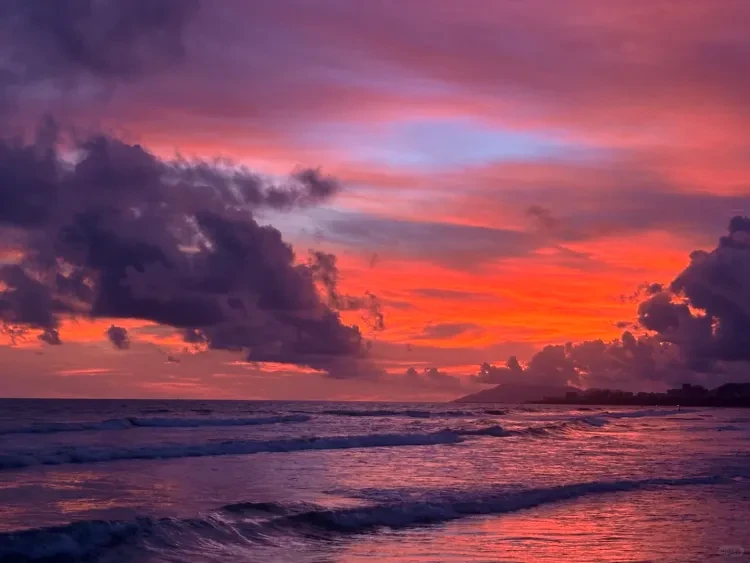 5655ce3b6d91644546e13c986fbbfb8e-sz_1247719