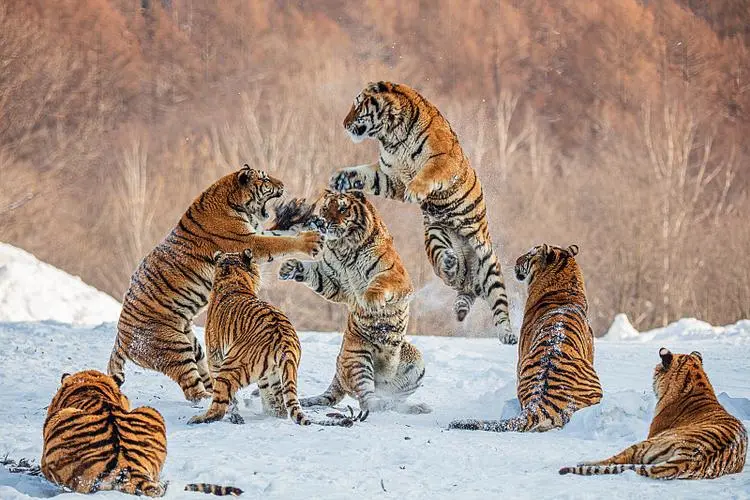 565f035ec16b3136d8e9b9bc5a9f6530-sz_89118 565f035ec16b3136d8e9b9bc5a9f6530-sz_89118