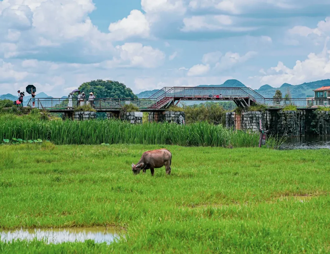 5669078cdd7d42bc2f81fe79a203d439-sz_3161558 5669078cdd7d42bc2f81fe79a203d439-sz_3161558