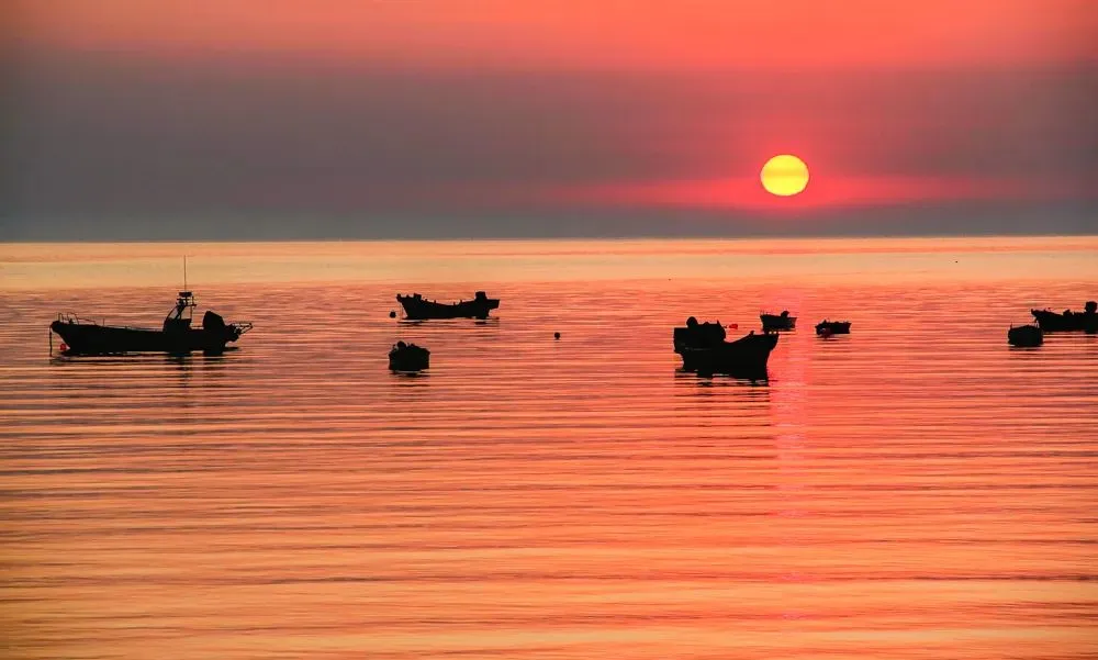 5699e30db4344f416048bd5d16e6dc8e-sz_76141