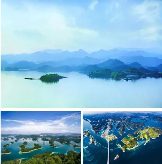 56ff642f6df445f63331fae5f9f119b8-sz_372279