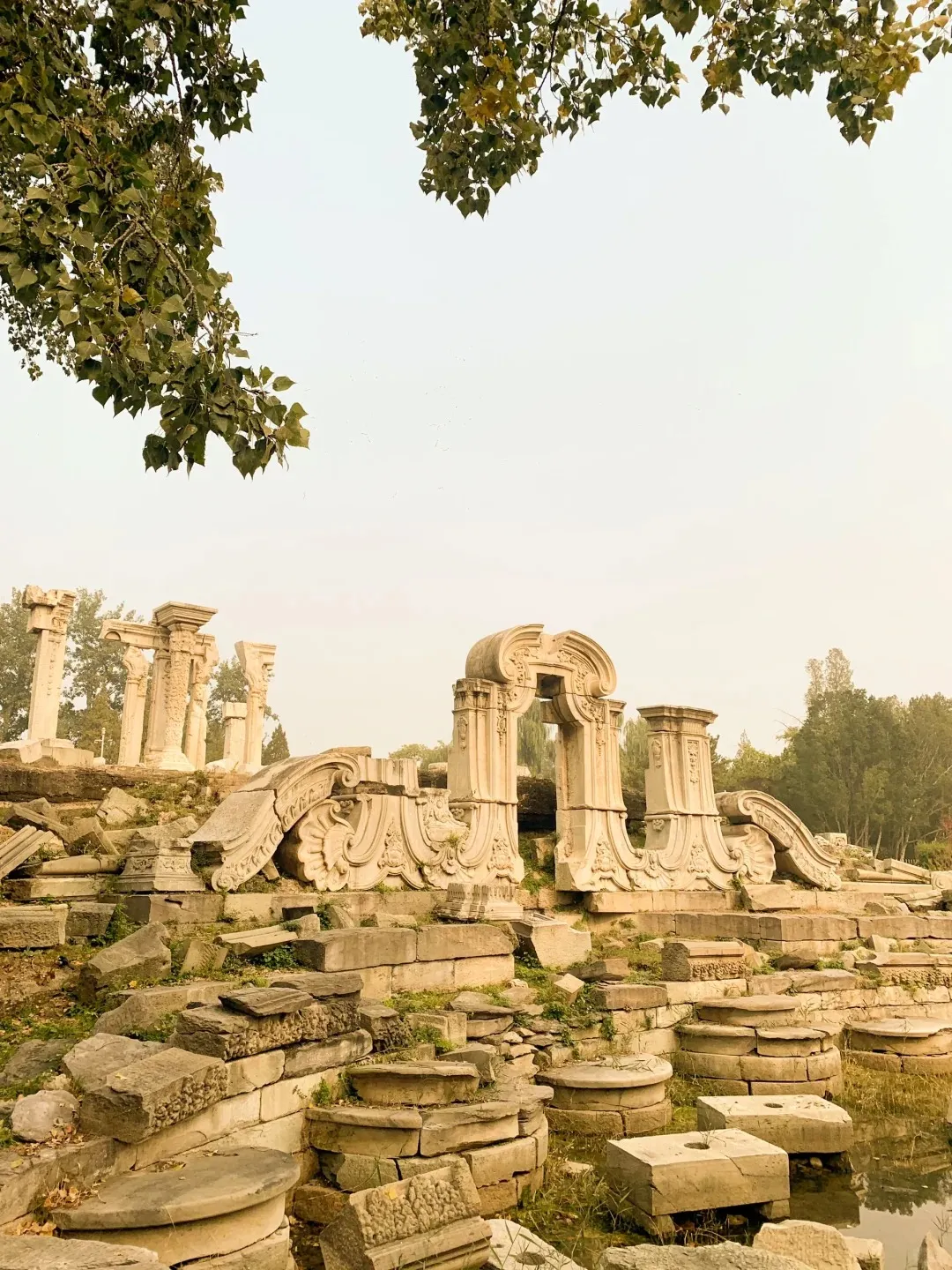 57120fd840f86bd9fe6dade030c29183-sz_495489