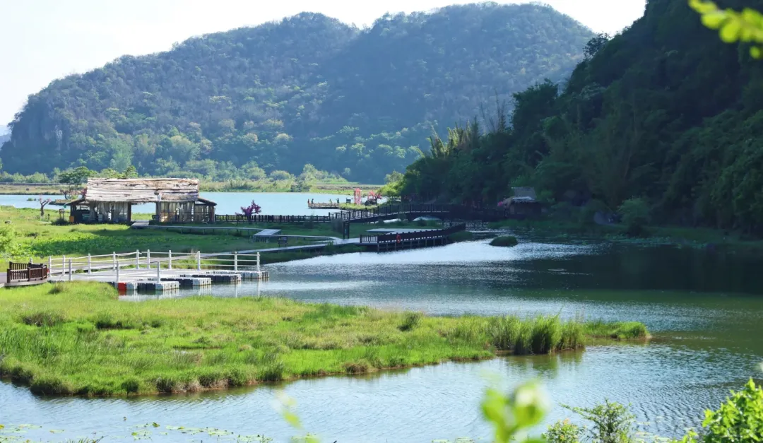 572fd51dd38d38ee4efbc9456db46c80-sz_3980106 572fd51dd38d38ee4efbc9456db46c80-sz_3980106