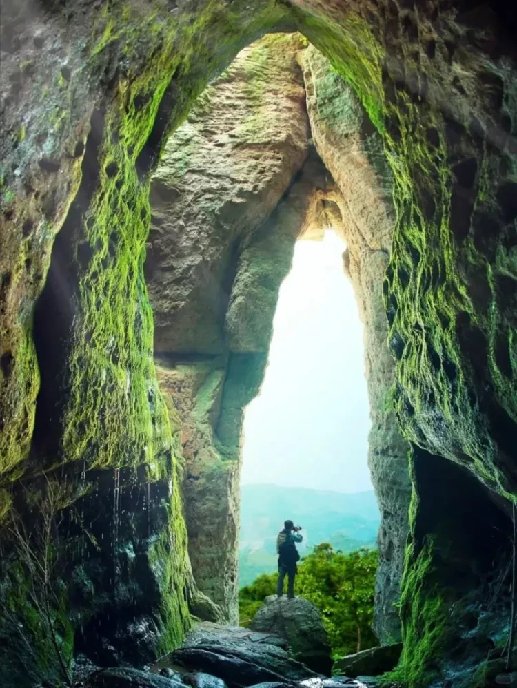 58218362b156763fe774a0a8be94dc21-sz_2912740