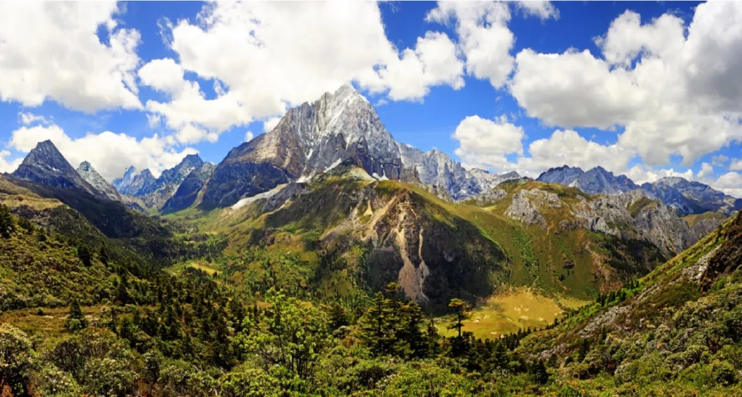 583ecf4d9a96b40d5598313bdecb28d2-sz_258845-1