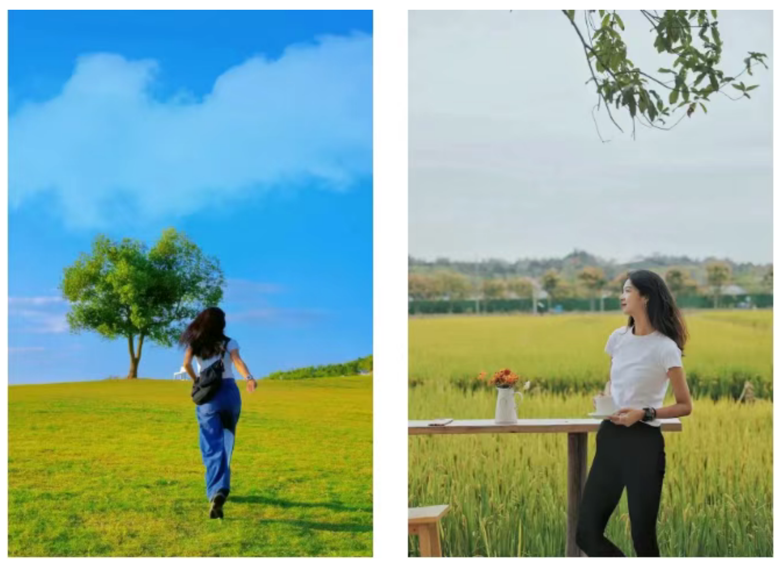 589936ddd07ba3c87b452ef3cacaff27 589936ddd07ba3c87b452ef3cacaff27