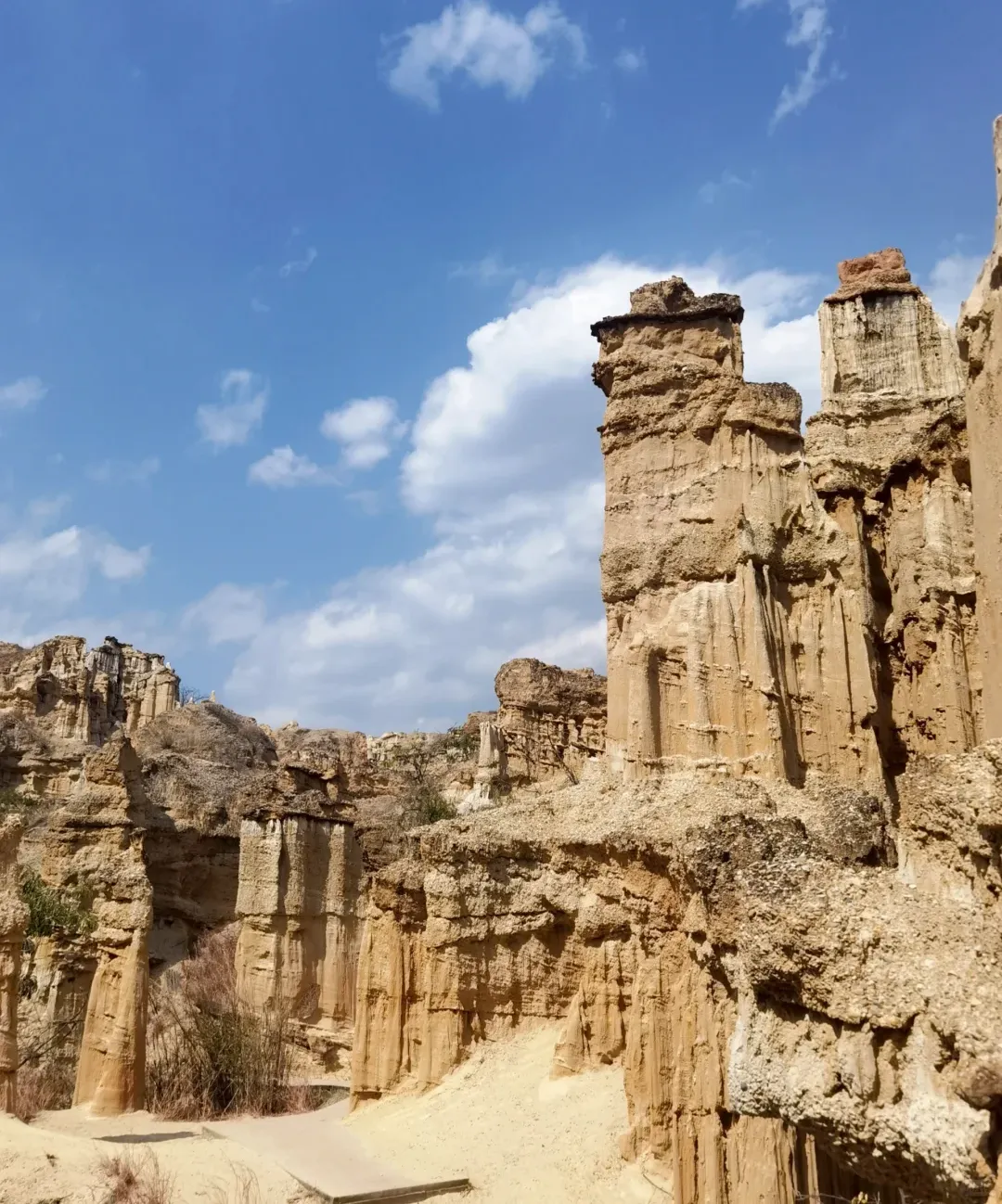 58a0d65e772ea09e7f5da9dee1733631-sz_1863339-1