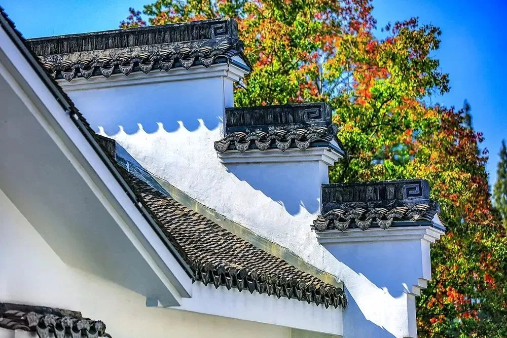 58c8efe20f0012bb3864824ec1877a5e-sz_179523