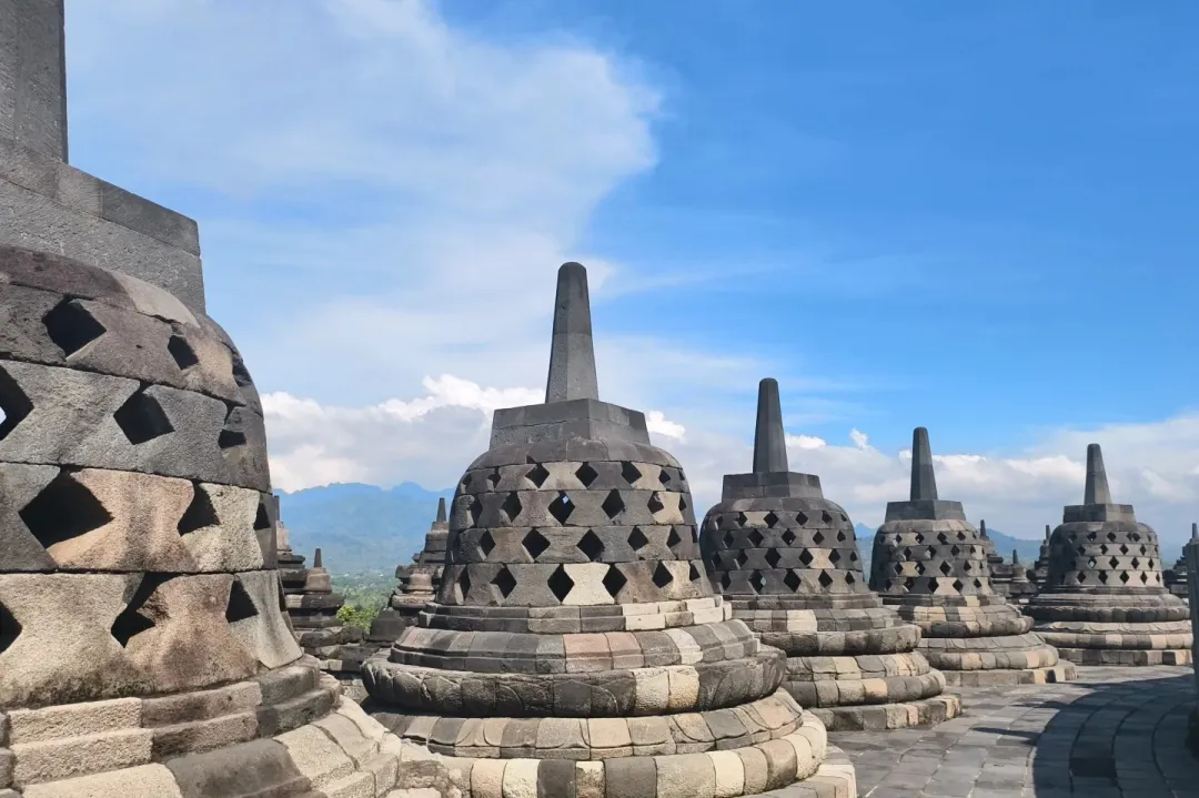 58db52fc75589b222d8e91f7fa485dc1-sz_366054