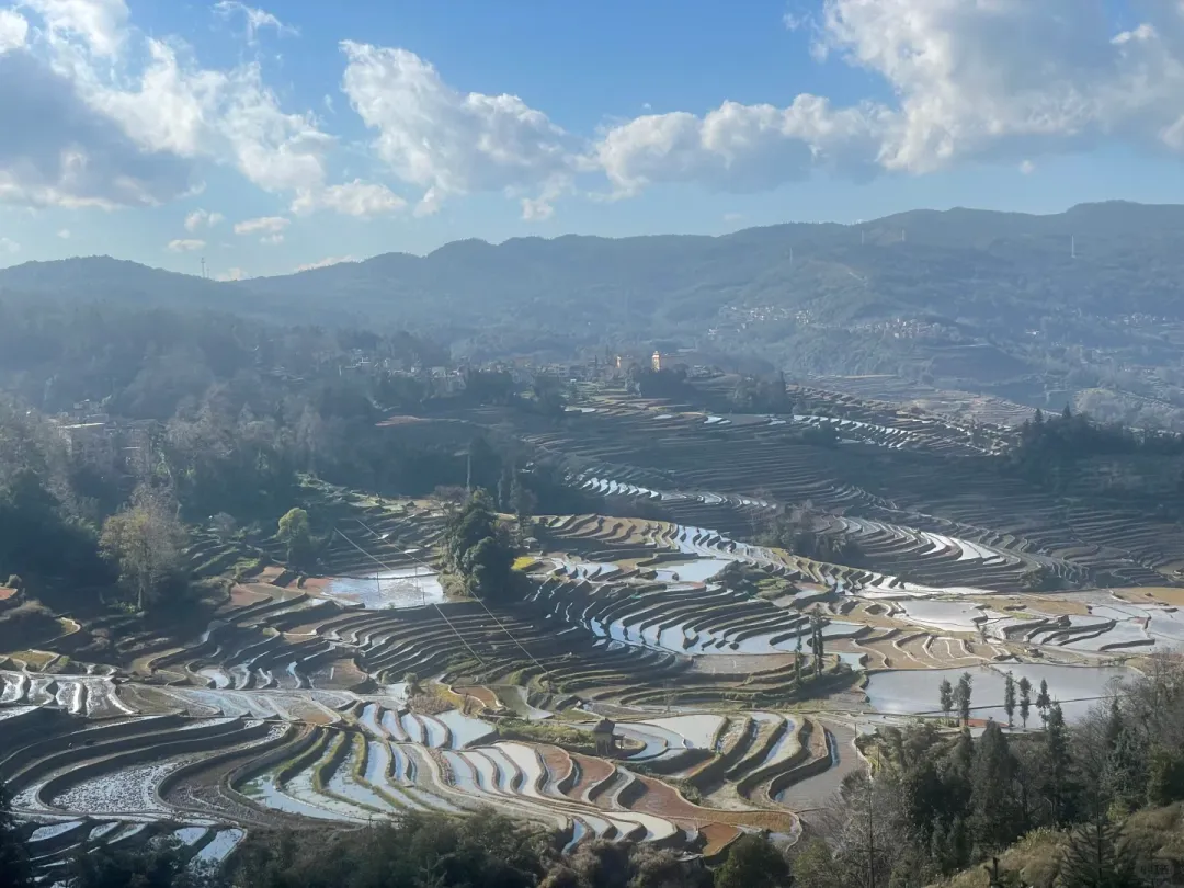 591789f994a95784600e1d9c01a633c5-sz_2420648