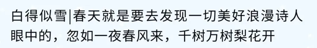 59271e83da0e422345f0379825031dae-sz_2310451-1 59271e83da0e422345f0379825031dae-sz_2310451-1