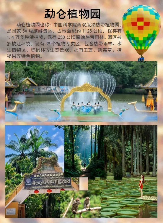 593f59006aa761bf41cf74906807c3a5-sz_1231704