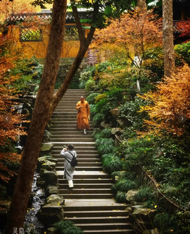 59fc602b1130dbd3d377833536112cdd-sz_1217885-3