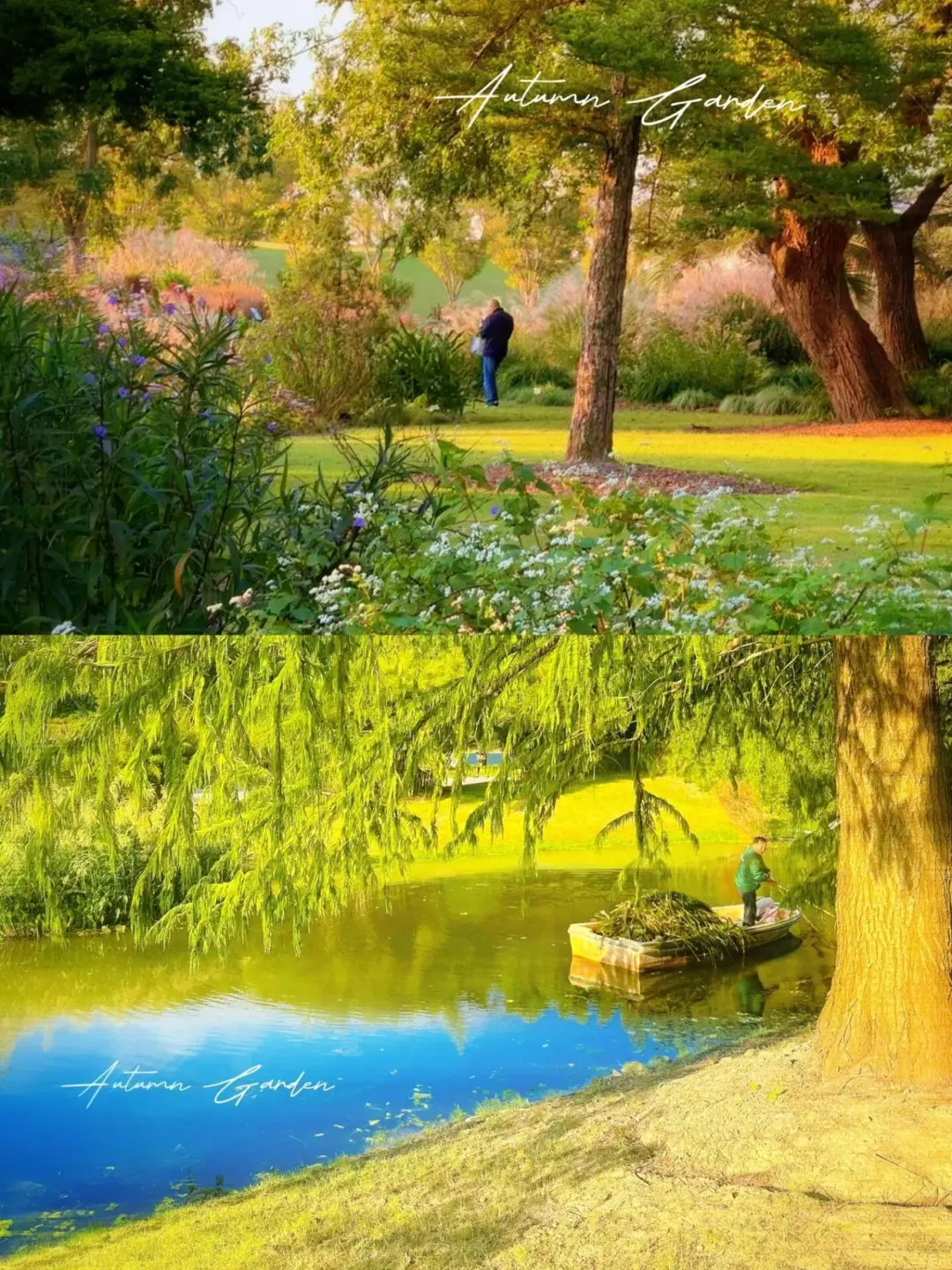 5a457a08ccf003ec4c1fbd0274f7a67d-sz_517471