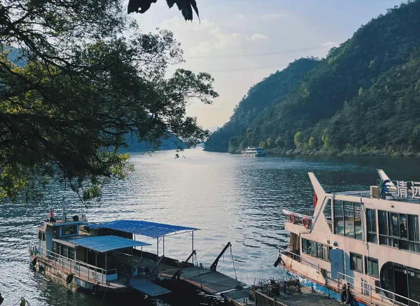 5a92ced6fcd4594d465aadd7798ff194-sz_1145398