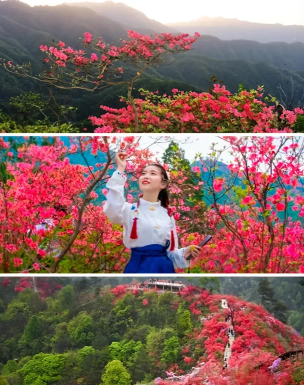 5ab4ff1684e9f461240c1709a87c2263-sz_823372