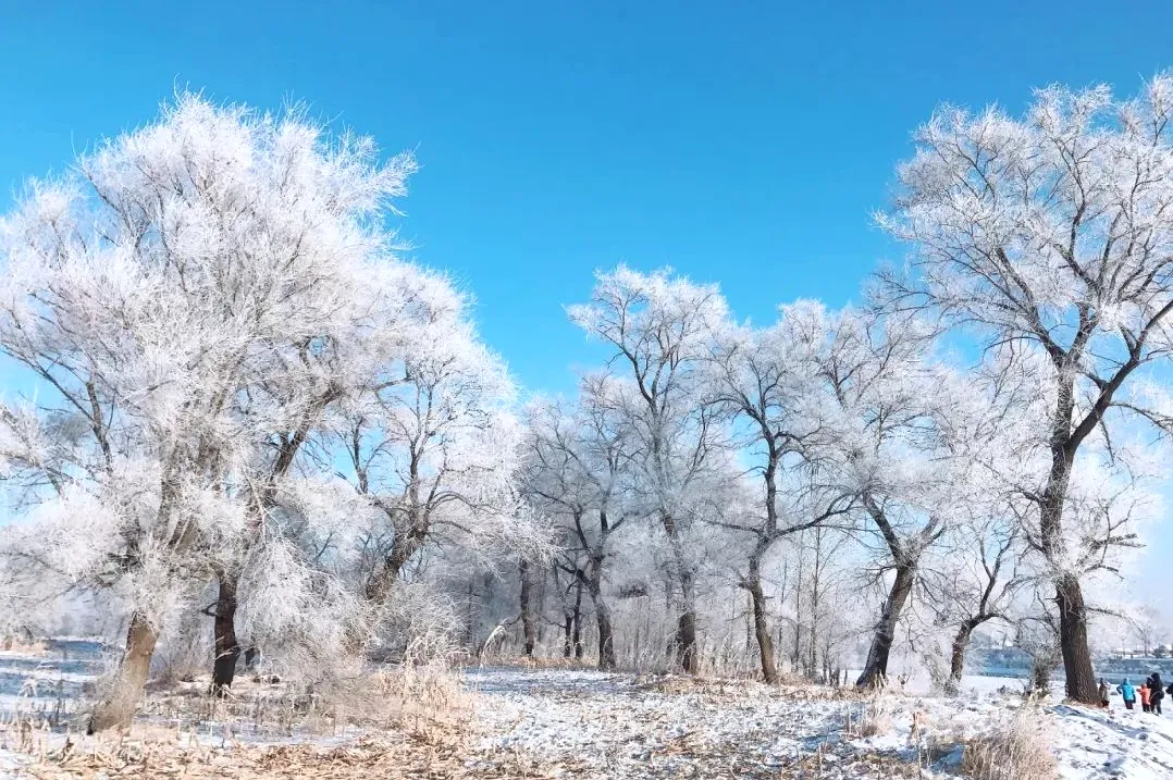 5acf16e3628aea0ecf120b96cd51d269-sz_229639-1 5acf16e3628aea0ecf120b96cd51d269-sz_229639-1