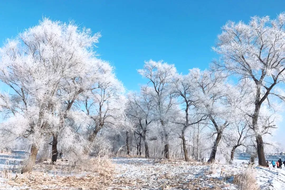 5acf16e3628aea0ecf120b96cd51d269-sz_229639 5acf16e3628aea0ecf120b96cd51d269-sz_229639