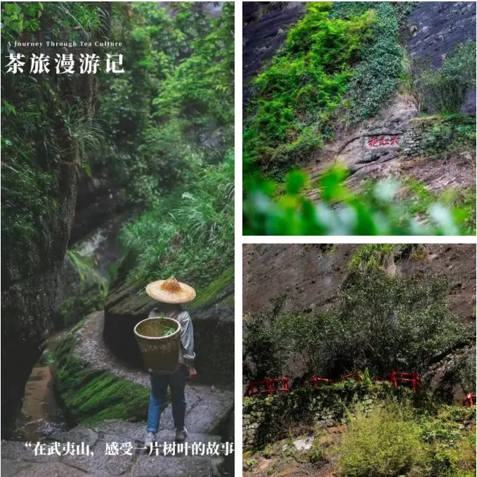 5af3d7c3b9954b254ab34501fe8c0a73-sz_1014611 5af3d7c3b9954b254ab34501fe8c0a73-sz_1014611