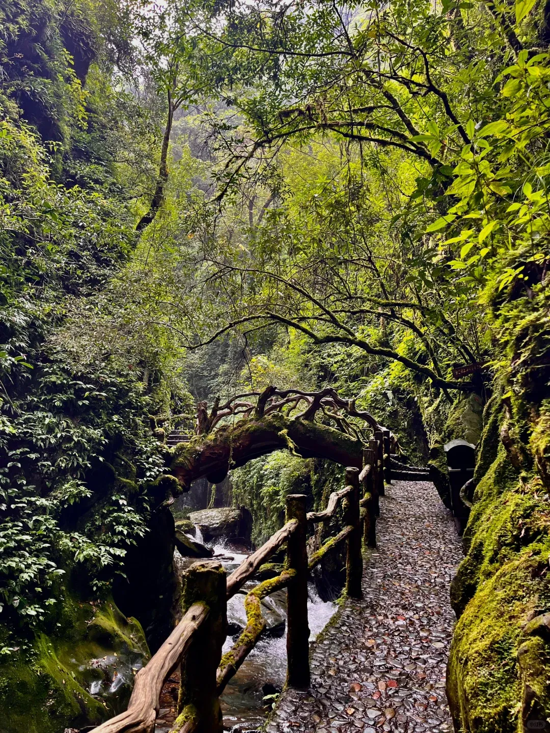 5b137d5ed8e00e69dfcbe378ce888d62-sz_3753772 5b137d5ed8e00e69dfcbe378ce888d62-sz_3753772