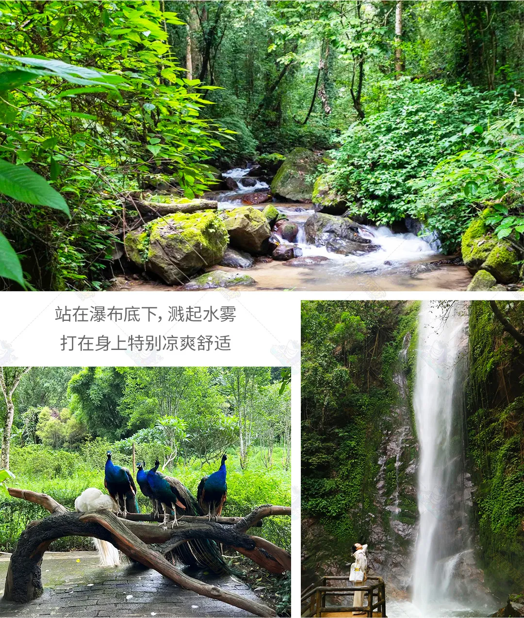 5b40adc9123a75f34abd2f6f6f5d769b-sz_948805