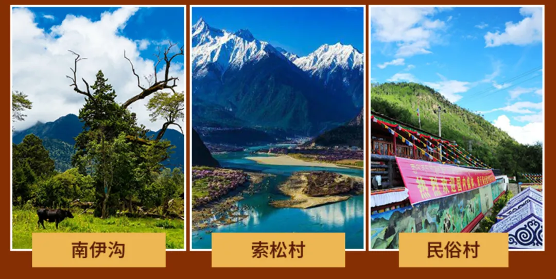 5b71aec30397a38dbbd6d746e5af482d-sz_1981334