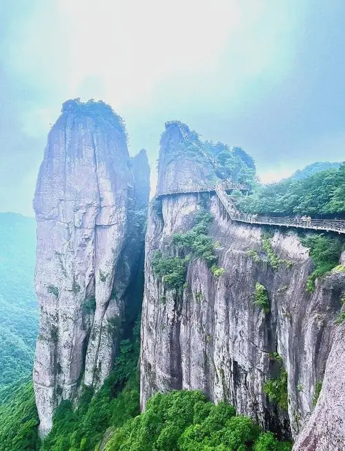 5ba50c6b4c4d8ecc2cfd9f3bbf75fb27-sz_74175-1