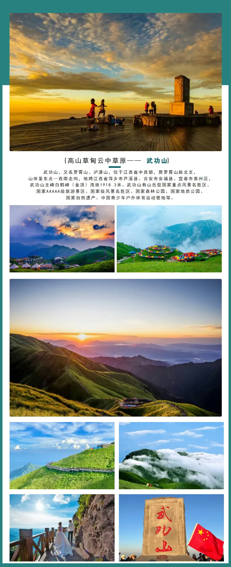 5bfdbcb723bfe85273db5bf43114676d-sz_1008863