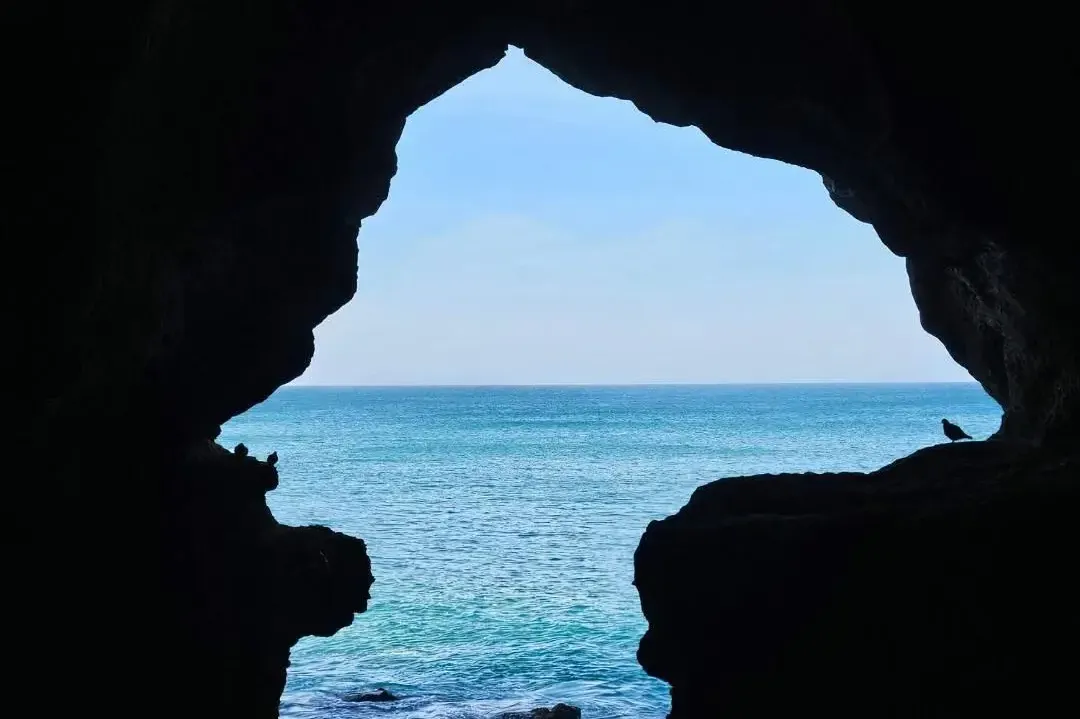 5c1e0e007f5c2af51a066b93182831c8-sz_1153701