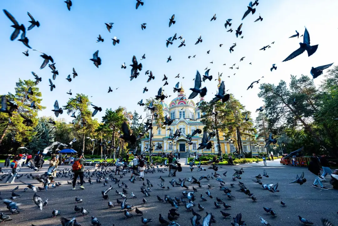 5c5166dbbf29c5b62f335eeabaac0a1a-sz_517007 5c5166dbbf29c5b62f335eeabaac0a1a-sz_517007