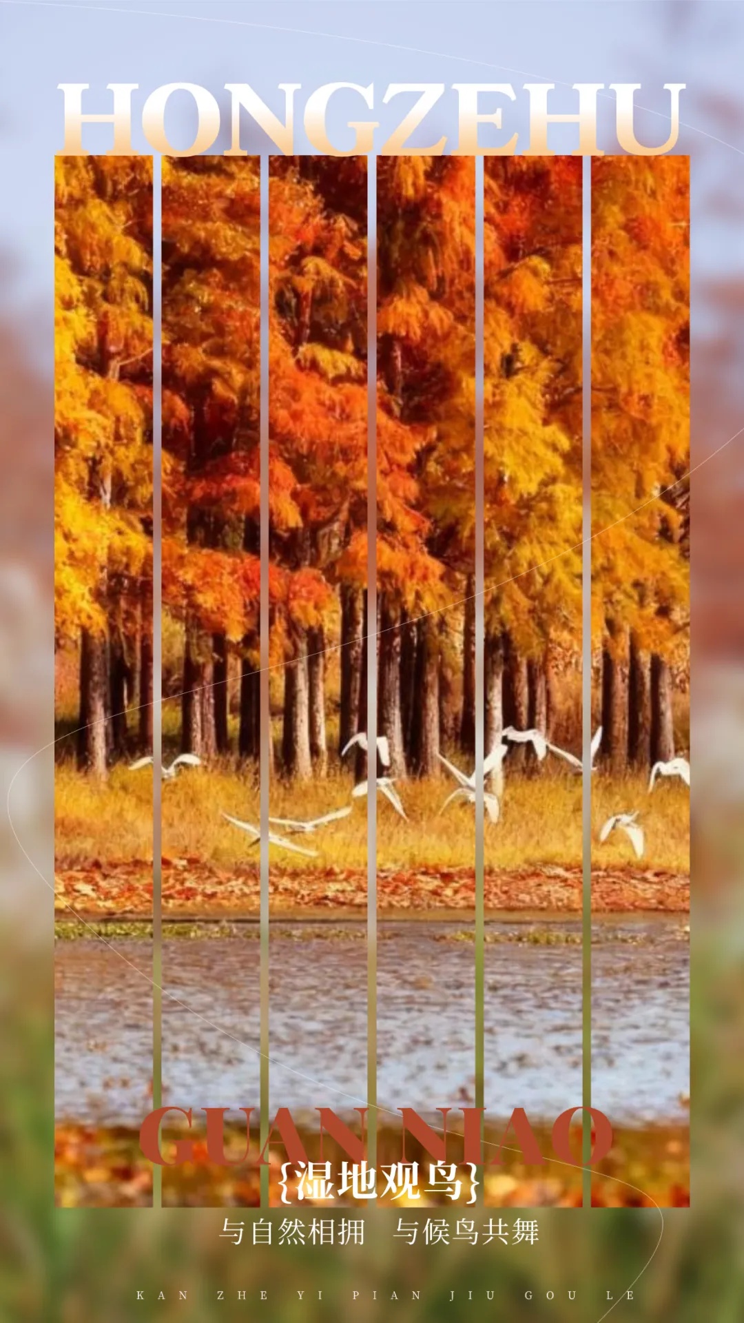 5c57778d5389a431cff2cc79b7b13998-sz_2392151