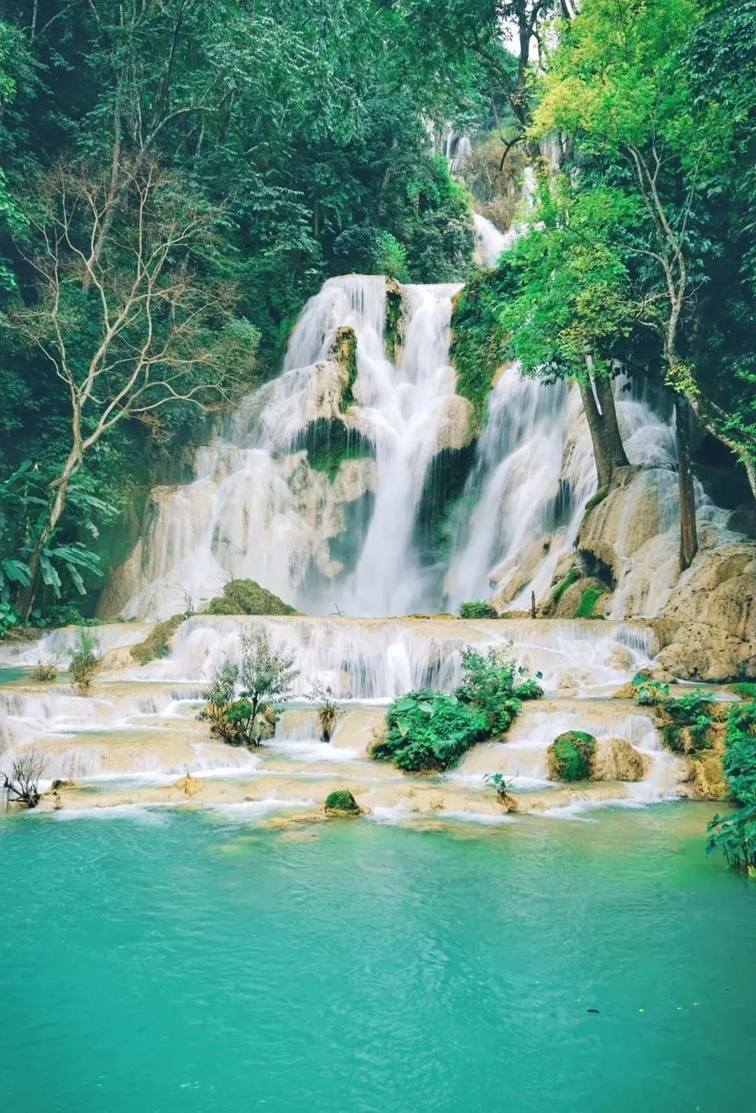 5c85a77094b65de59bbbf1146d579aab-sz_3170277 5c85a77094b65de59bbbf1146d579aab-sz_3170277