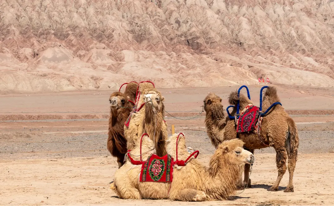 5c957c6e9429178a60e530863734e24c-sz_4472888 5c957c6e9429178a60e530863734e24c-sz_4472888