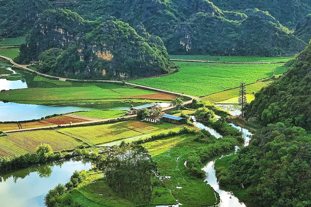 5cbb6109ac338968b3a2b0fd010c8237-sz_3557493