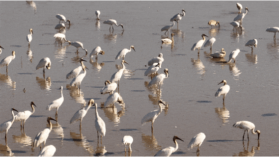 5ce090467e47ca687db58d0851a8377c-sz_2096652