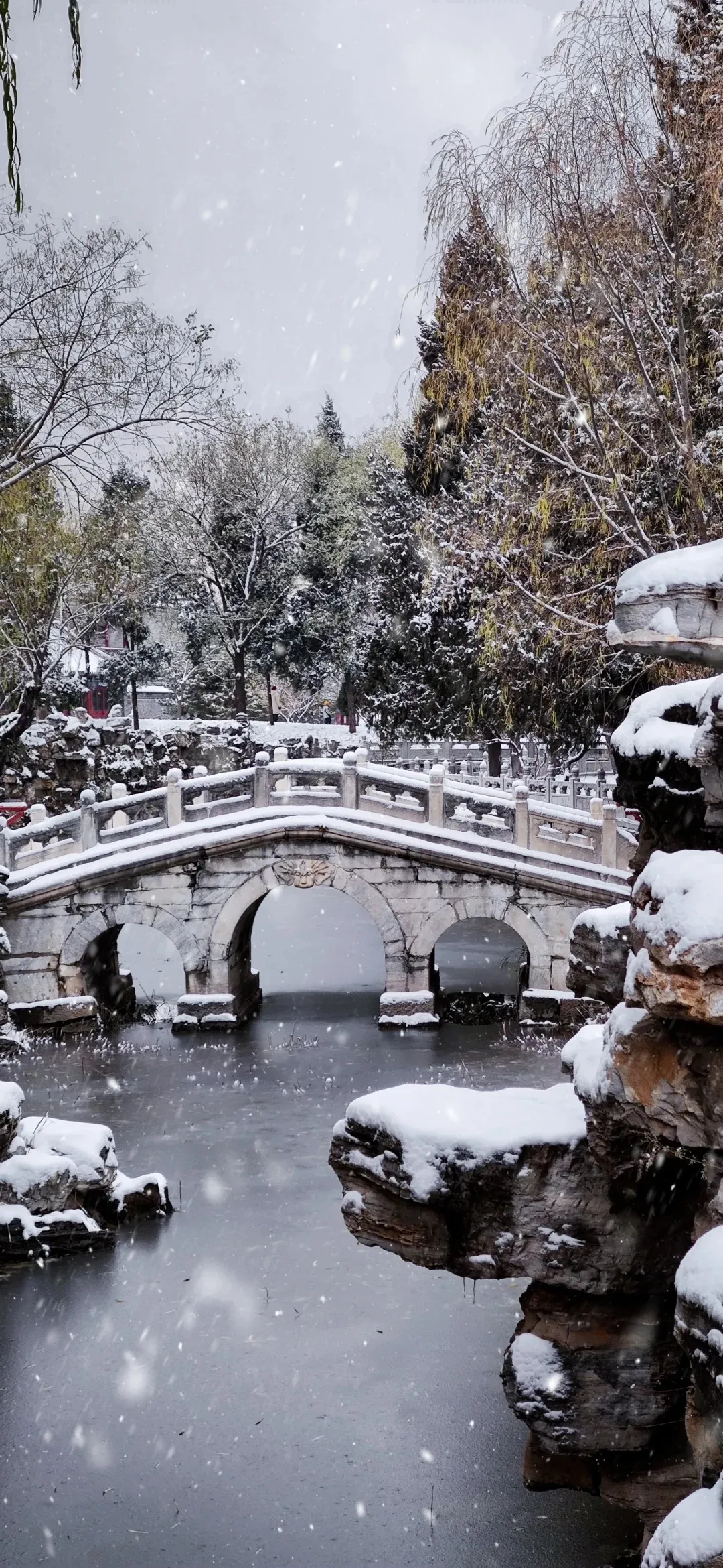 5d15eb604c402396600df324d6e93e38-sz_916994 5d15eb604c402396600df324d6e93e38-sz_916994