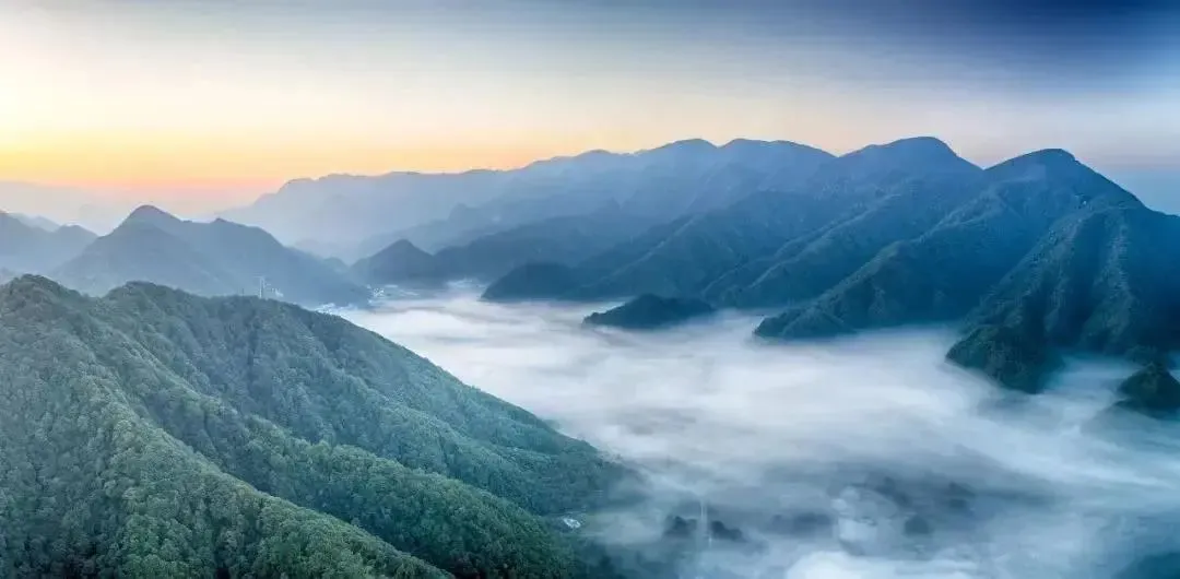 5d1f805612277b54c646b8a7bd4c8303-sz_59029 5d1f805612277b54c646b8a7bd4c8303-sz_59029