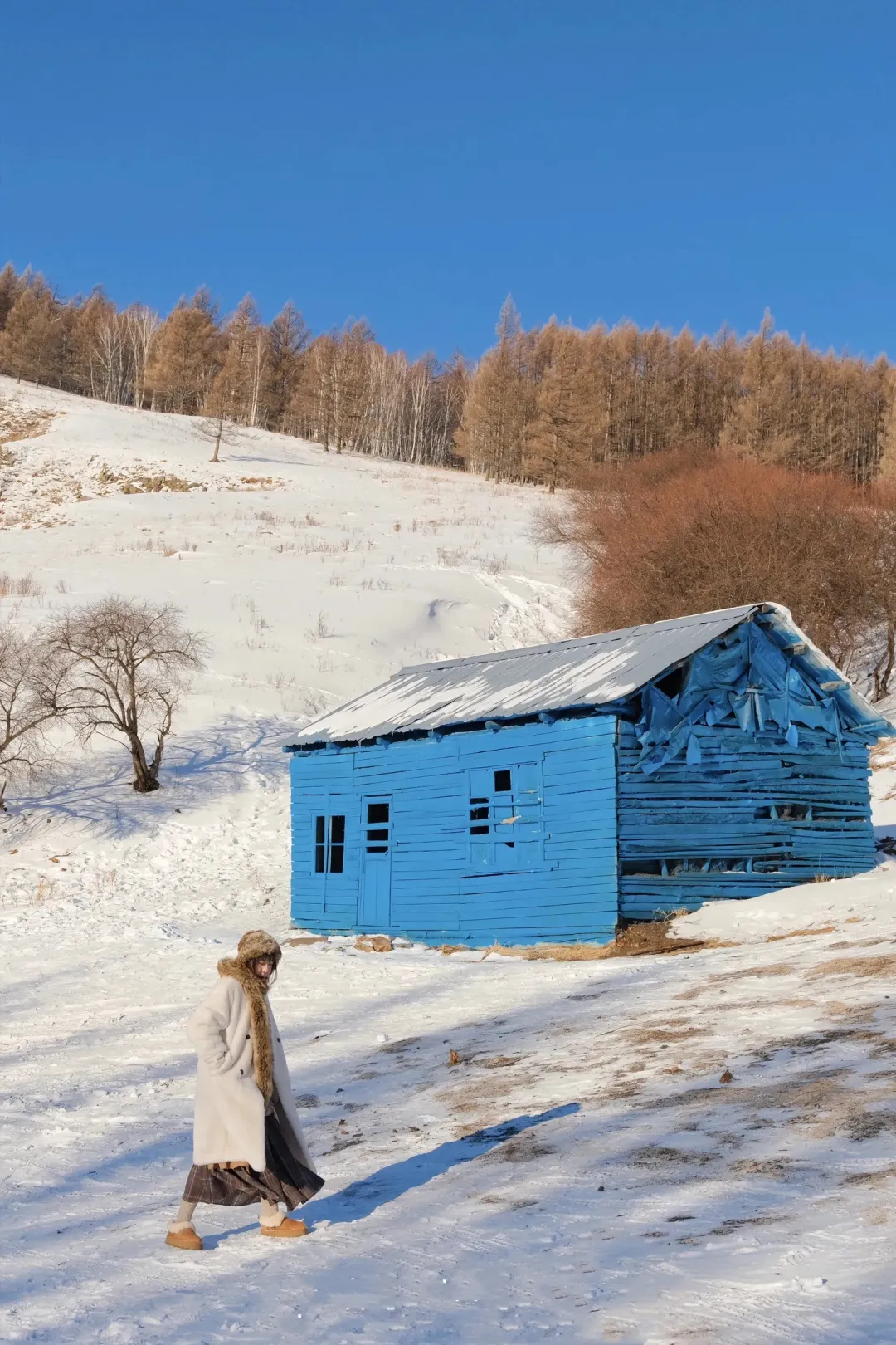 5d6d5870b0fa5e681ecbed6e08df251e-sz_4383412 5d6d5870b0fa5e681ecbed6e08df251e-sz_4383412