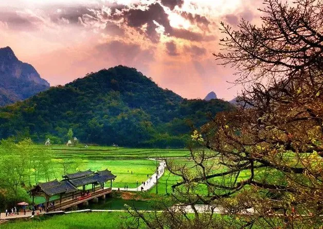 5d75622bb57105329835259cf26e4493-sz_811250