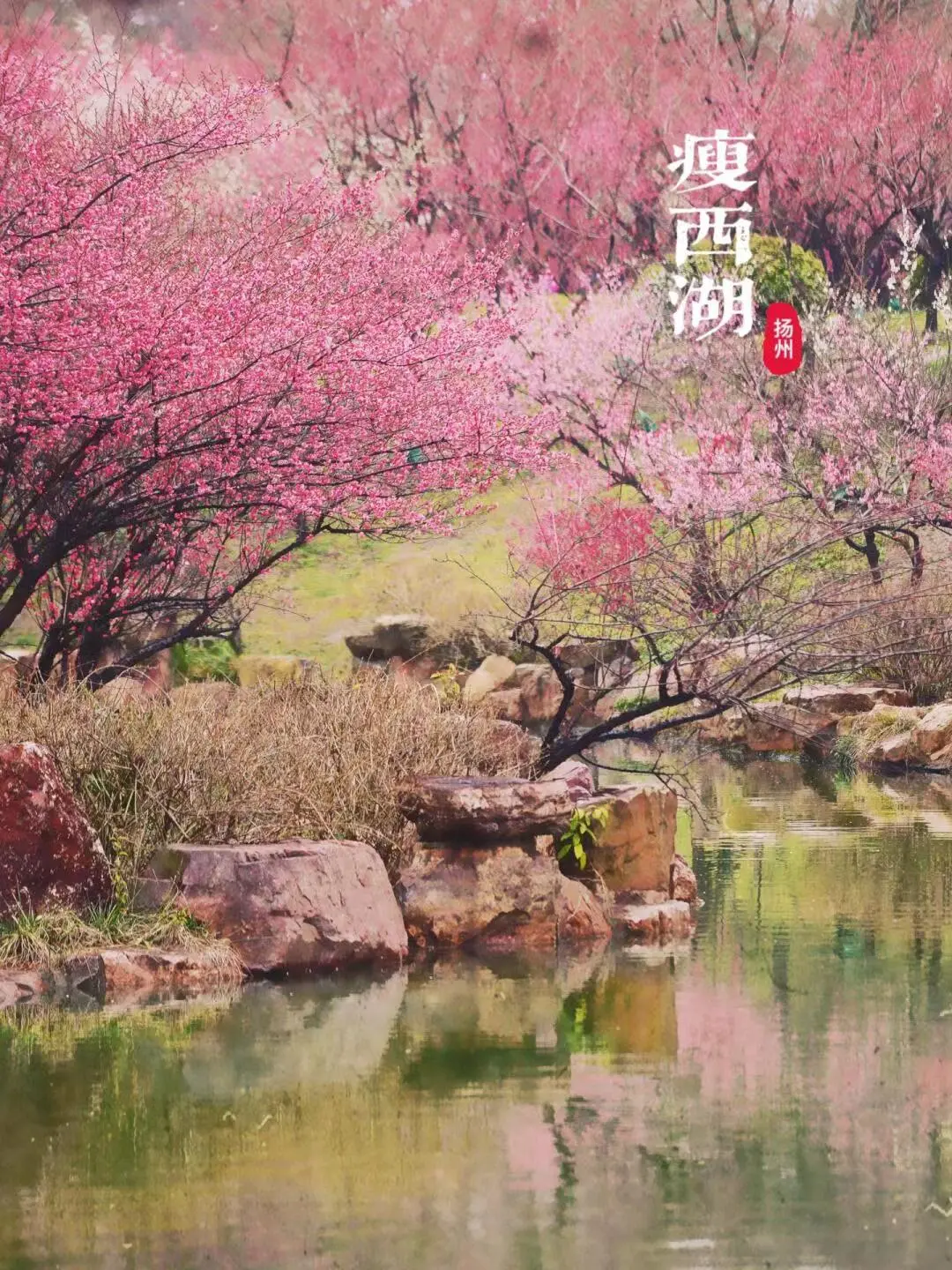 5d7eb61fa21d7fc69ac70c95ec16c6cb-sz_336174