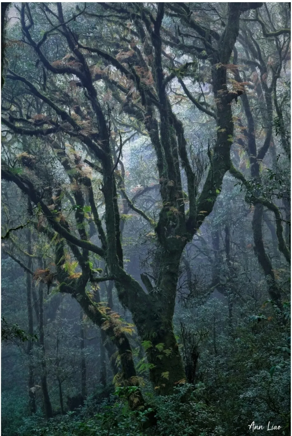 5d8fe2402e59e1f13dab673579181ff8-sz_645261