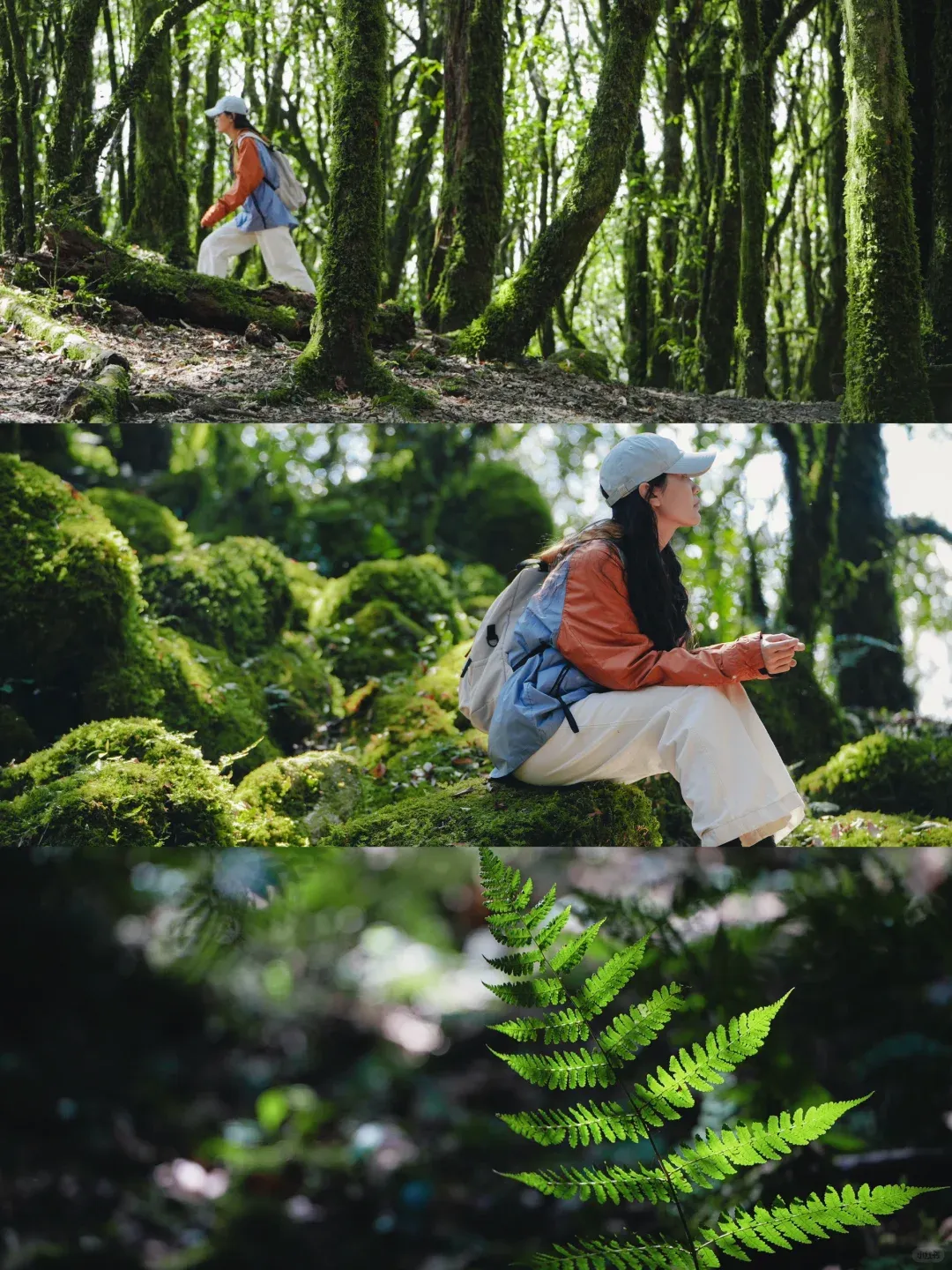 5d94ccdd1960cb7a1c7d767d909a192d-sz_3374496