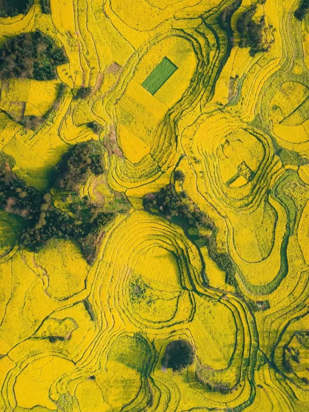 5da1920bc849e881f042cb92112a711f-sz_800541