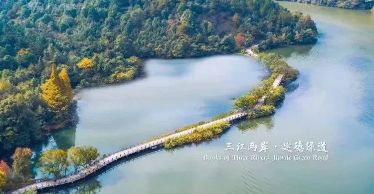 5df1feef5113a6b001025ce3f1839e03-sz_895185