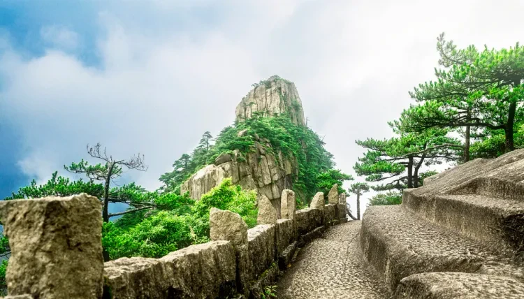 5e485bfba588da537d350acaecd03181-sz_1298229 5e485bfba588da537d350acaecd03181-sz_1298229