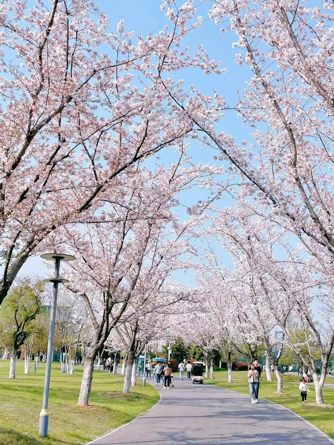 5e4958739daaf06c991cddeb3ace0b56-sz_484457