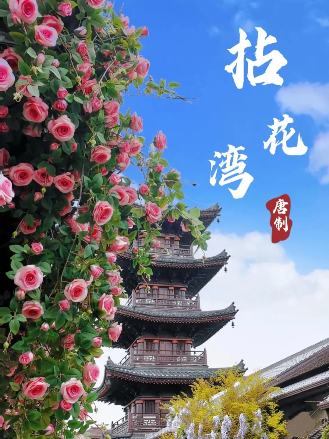 5e5bde5e295f43d77c2c05e8db16e174-sz_962445